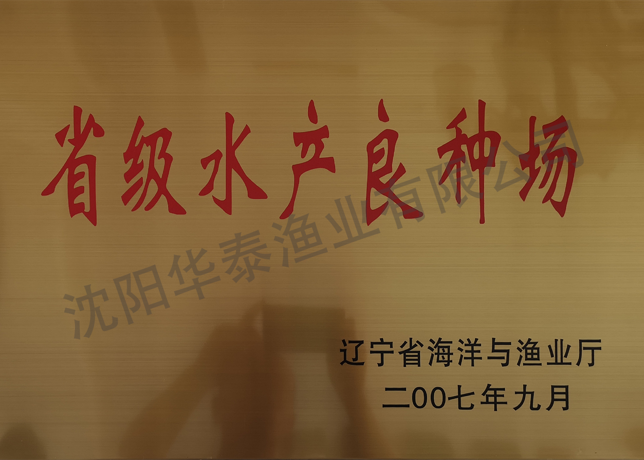 &#84;&#111;&#107;&#101;&#110;&#38065;&#21253;&#40;&#20013;&#22269;&#21306;&#41;&#23448;&#26041;&#32593;&#31449;&#124;&#84;&#111;&#107;&#101;&#110;&#23448;&#26041;&#65;&#80;&#80;&#19979;&#36733;&#45;&#20320;&#30340;&#36890;&#29992;&#25968;&#23383;&#38065;&#21253;